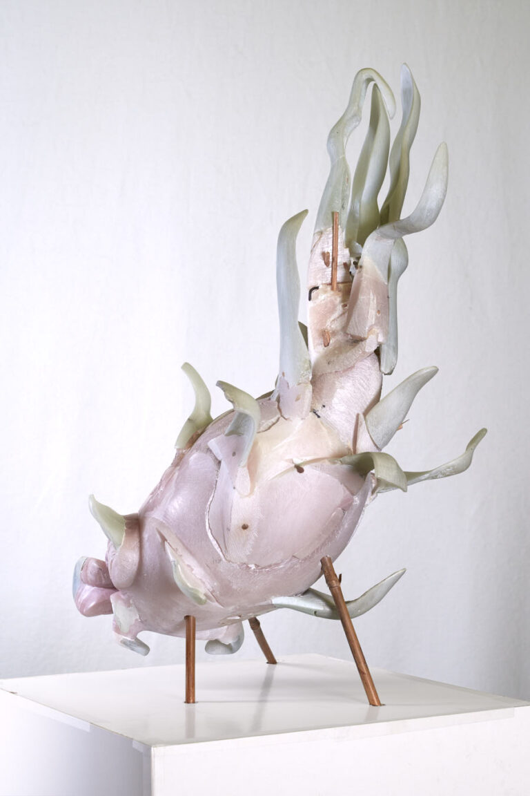 Drachenfrucht Silke Stock • Bildende Kunst, Bildhauerei