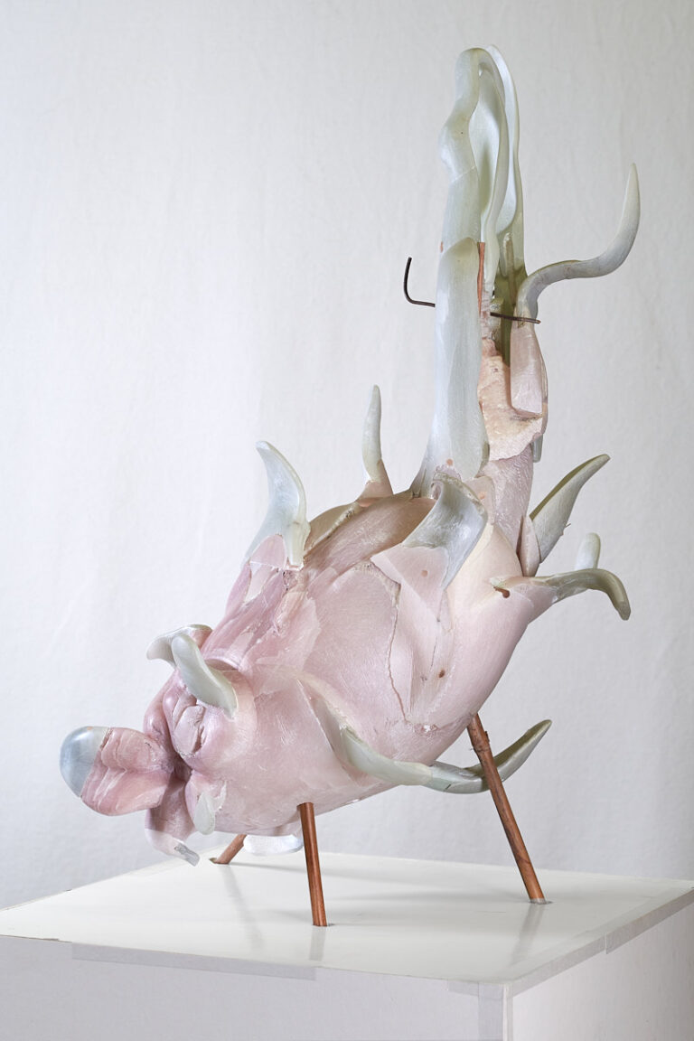 Drachenfrucht Silke Stock • Bildende Kunst, Bildhauerei