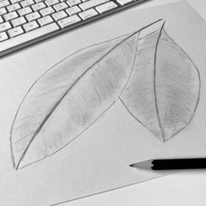 Bleistiftskizze, Bleistift und Tastatur